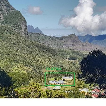 Olatika - Gite Des Cascades Cilaos Eksteriør billede