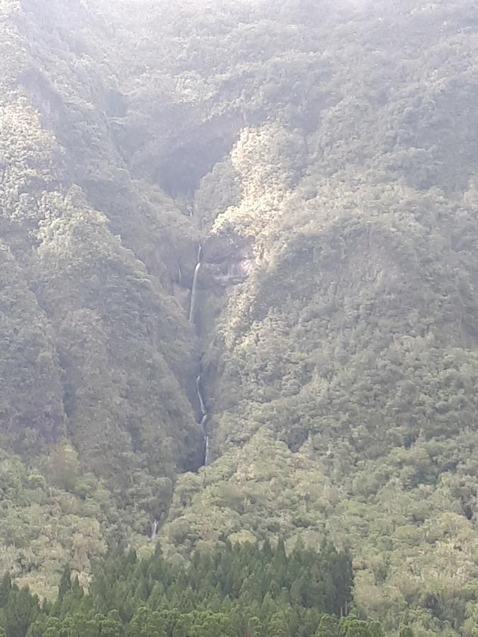 Olatika - Gite Des Cascades Cilaos Eksteriør billede